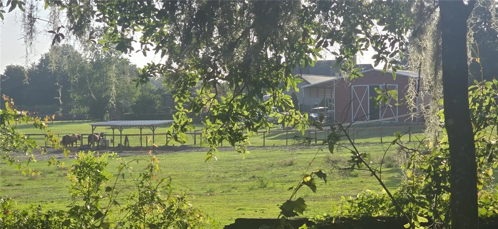 View from the back yard.