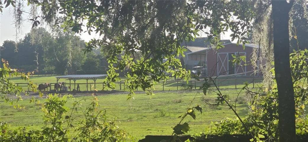 View from the back yard.