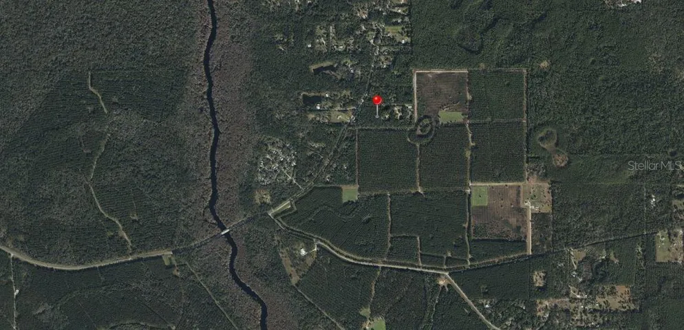 wider angle photo showing property close to Ocklawaha River basin and the Sharps Ferry Bridge to the west and south west, the timber growing areas to the south, the wildlife management area and national forest to the right (east)