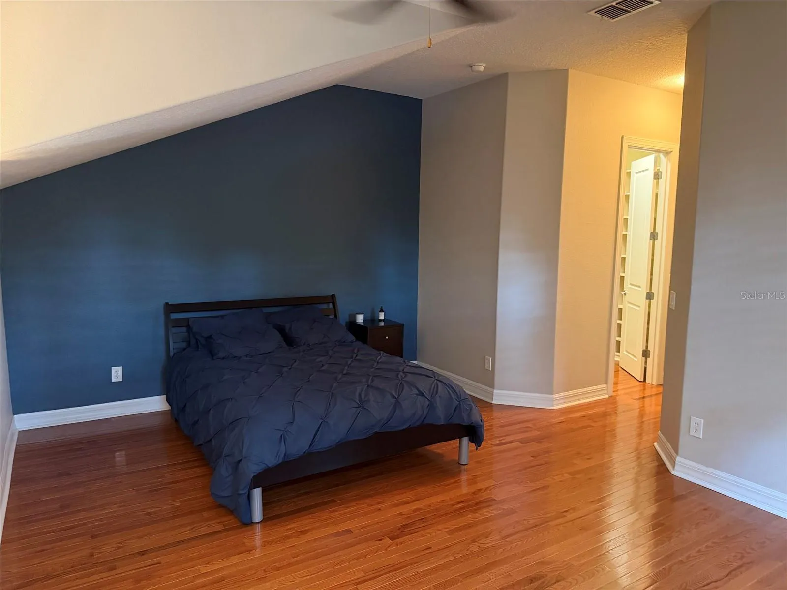 Master bedroom Hallway and walking closet door