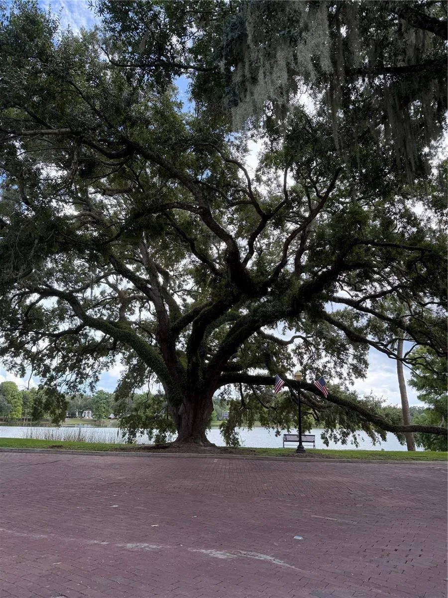 Lake Davis Park