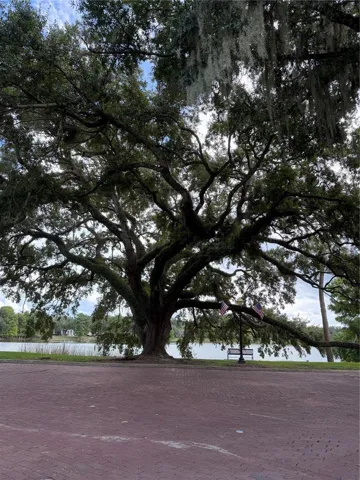 Lake Davis Park