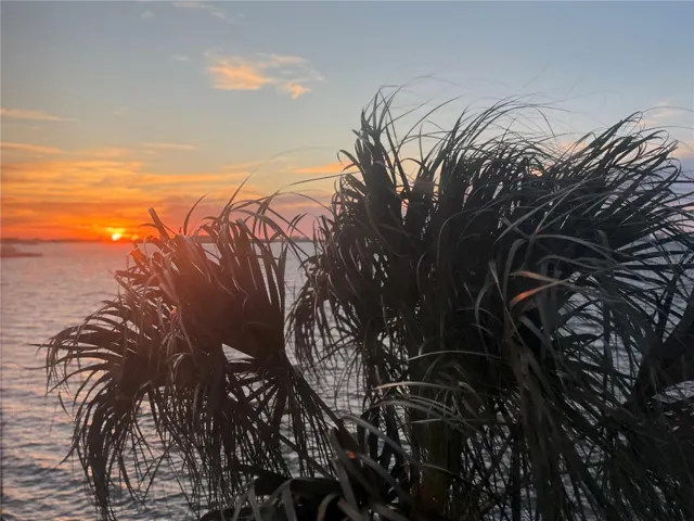 Sunset from bedroom