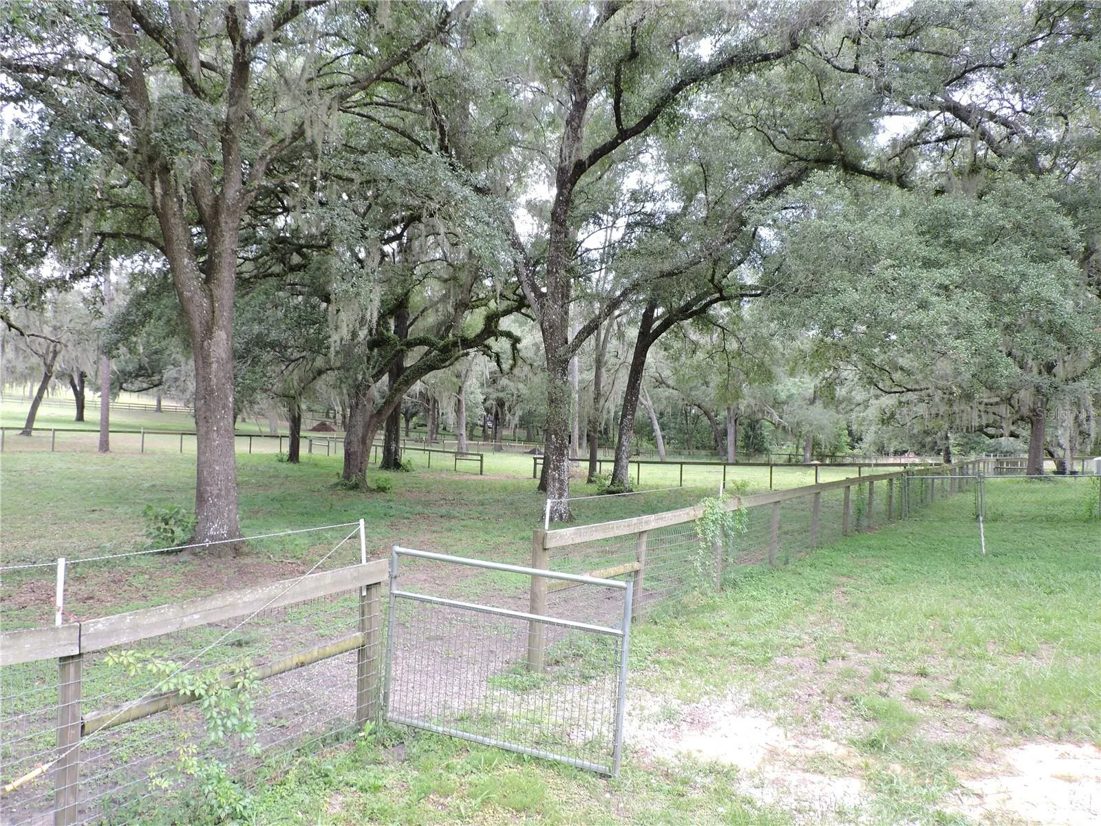 multiple gated pastures