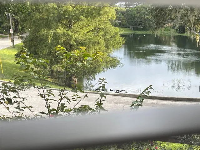 Lake Emerald view from Primary Bedroom. Notes: Lake Emerald is temporary dry (over the past two month)