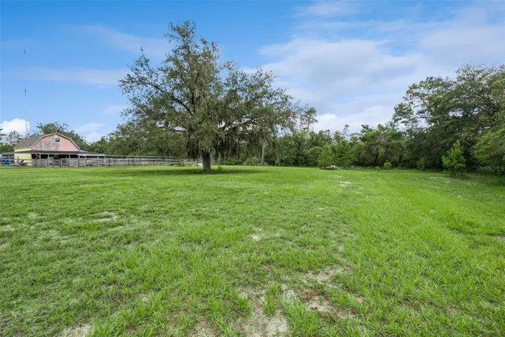 Large grassy acreage area with mature trees and flexible use for outdoor living.