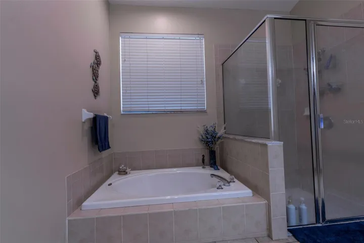 Seperate Shower &amp; Tub