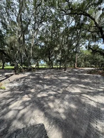 Lots of oak trees