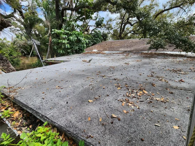 roof