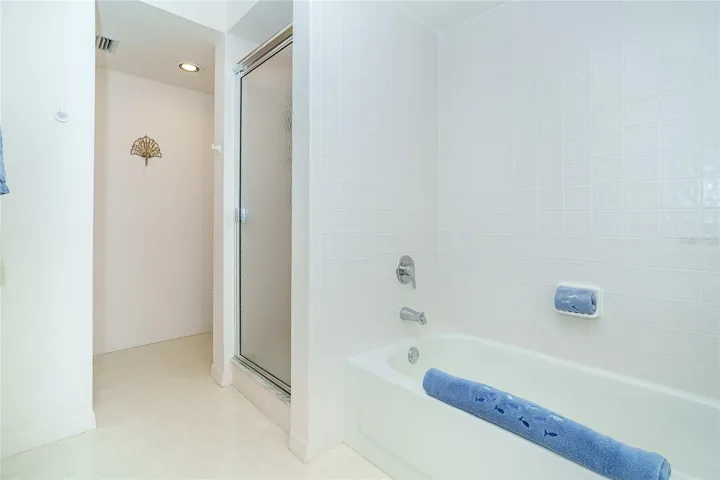 Separate shower & tub