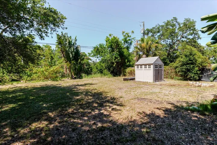 Spacious Yard W/ Shed