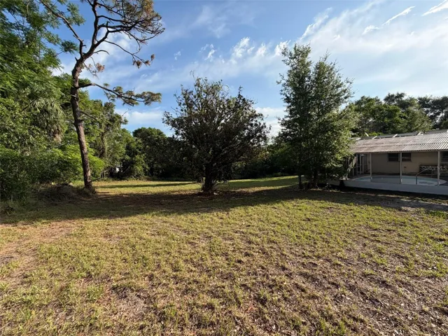 Back yards