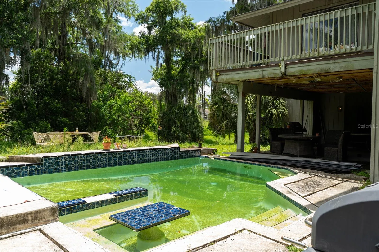 Luxury Custom Pool