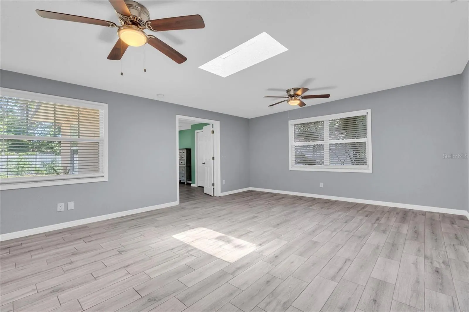 Large bonus room with skylight