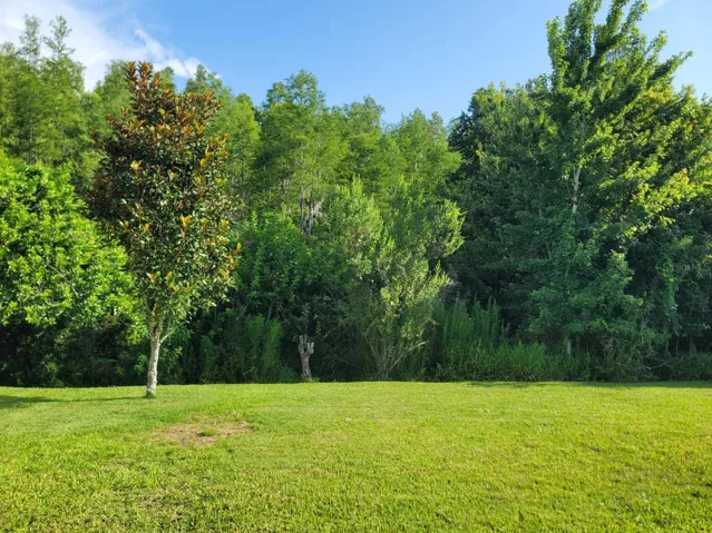 Beautiful backyard view with no rear neighbors.