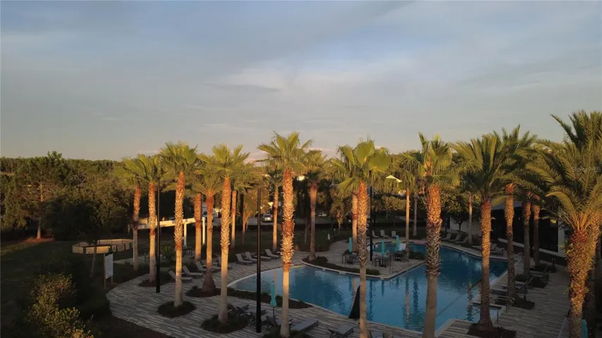 Beautiful Pool Area