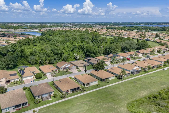 Dron neighborhood view