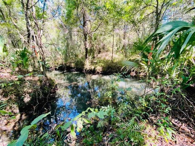 spring fed creek