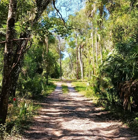 Your Nature Coast retreat starts down this road!