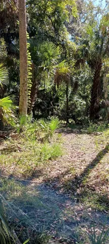 cleared paths