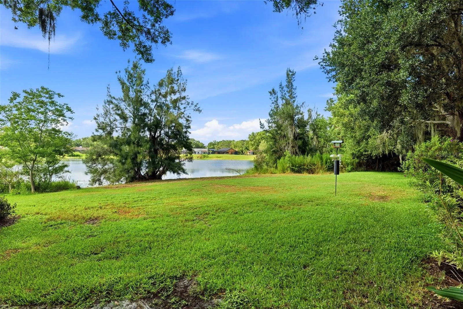 Lake view