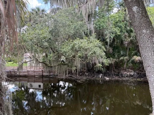 View of lot and canal from River Ridge Road.