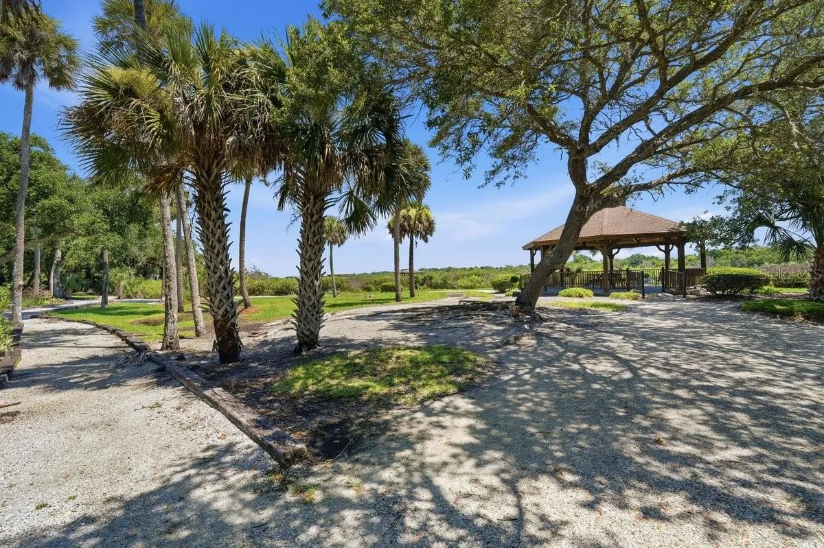 Nature path walk along the Intracoastal.