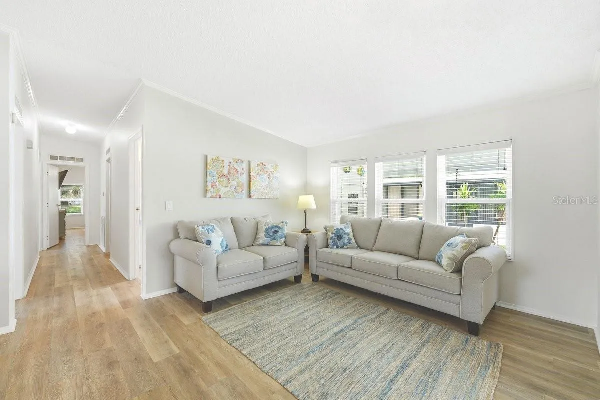Living Room. Lots of Natural Lighting