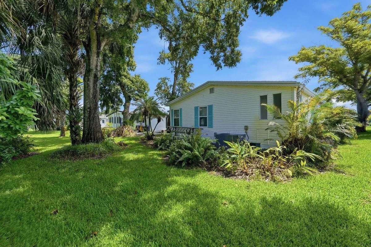 Back Yard of Property