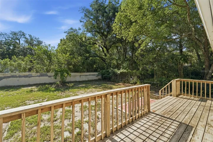 BACK DECK