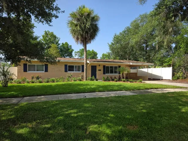 Side View