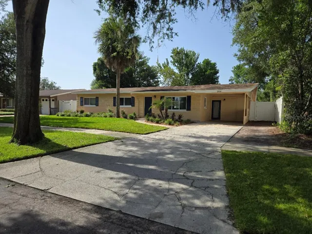 Driveway View