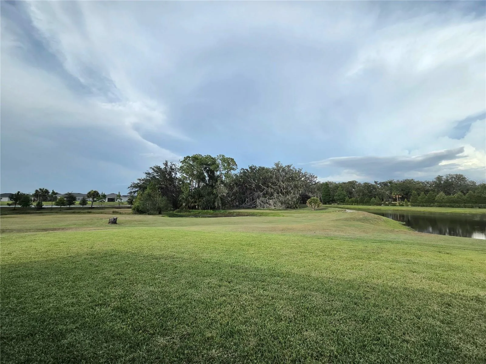 Backyard view