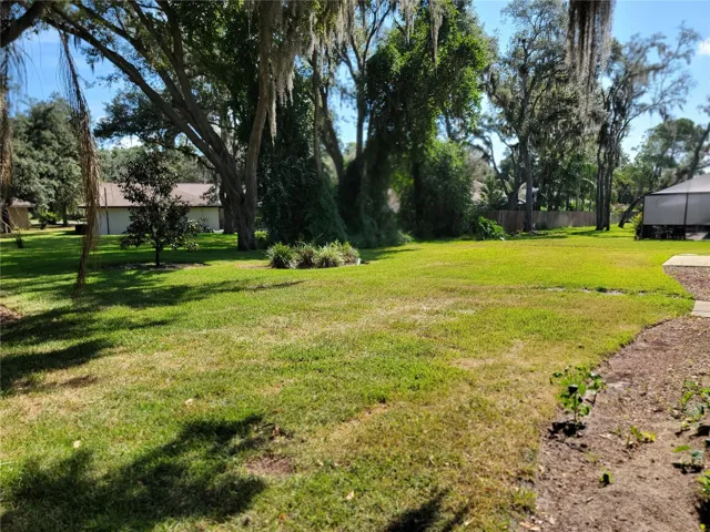 Large backyard