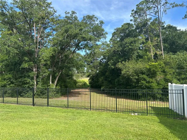 Preservation View and rear lawn