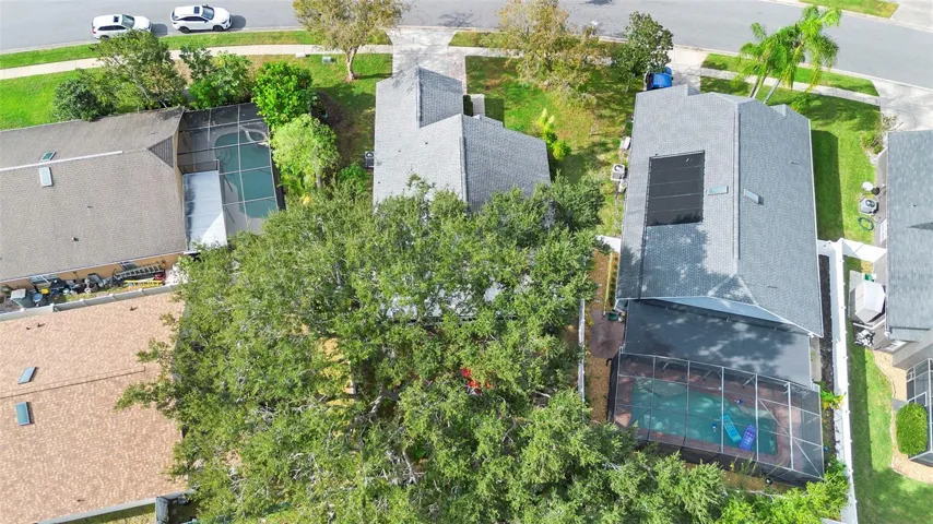 Ariel View