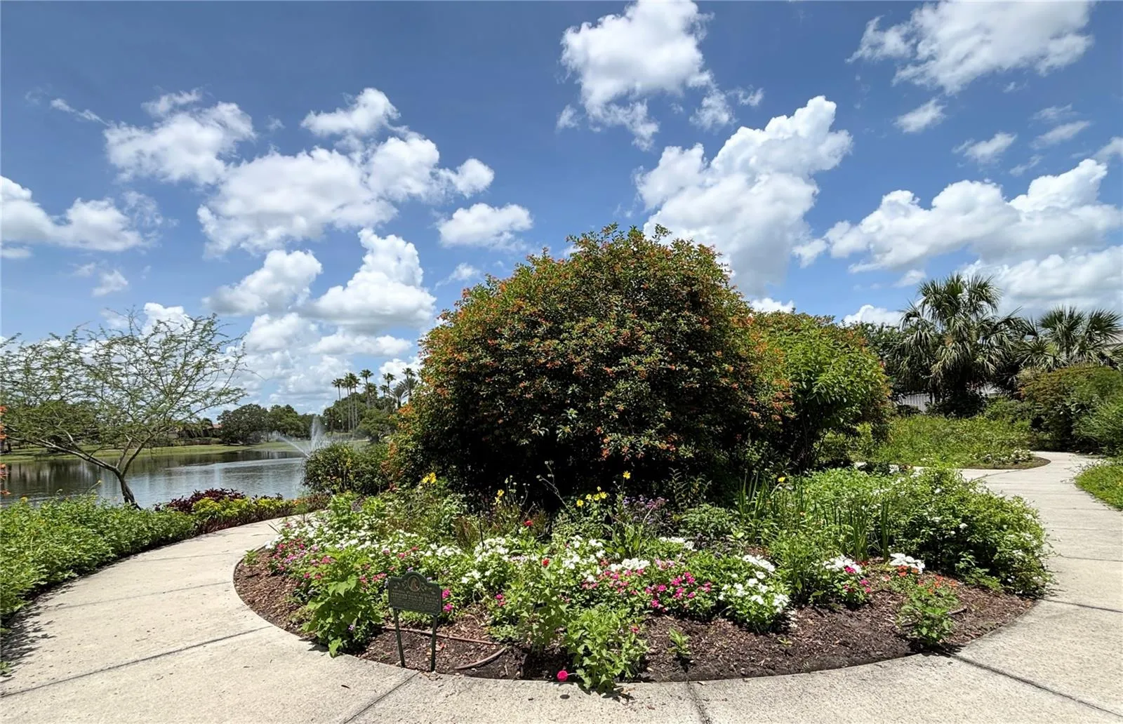 Butterfly garden