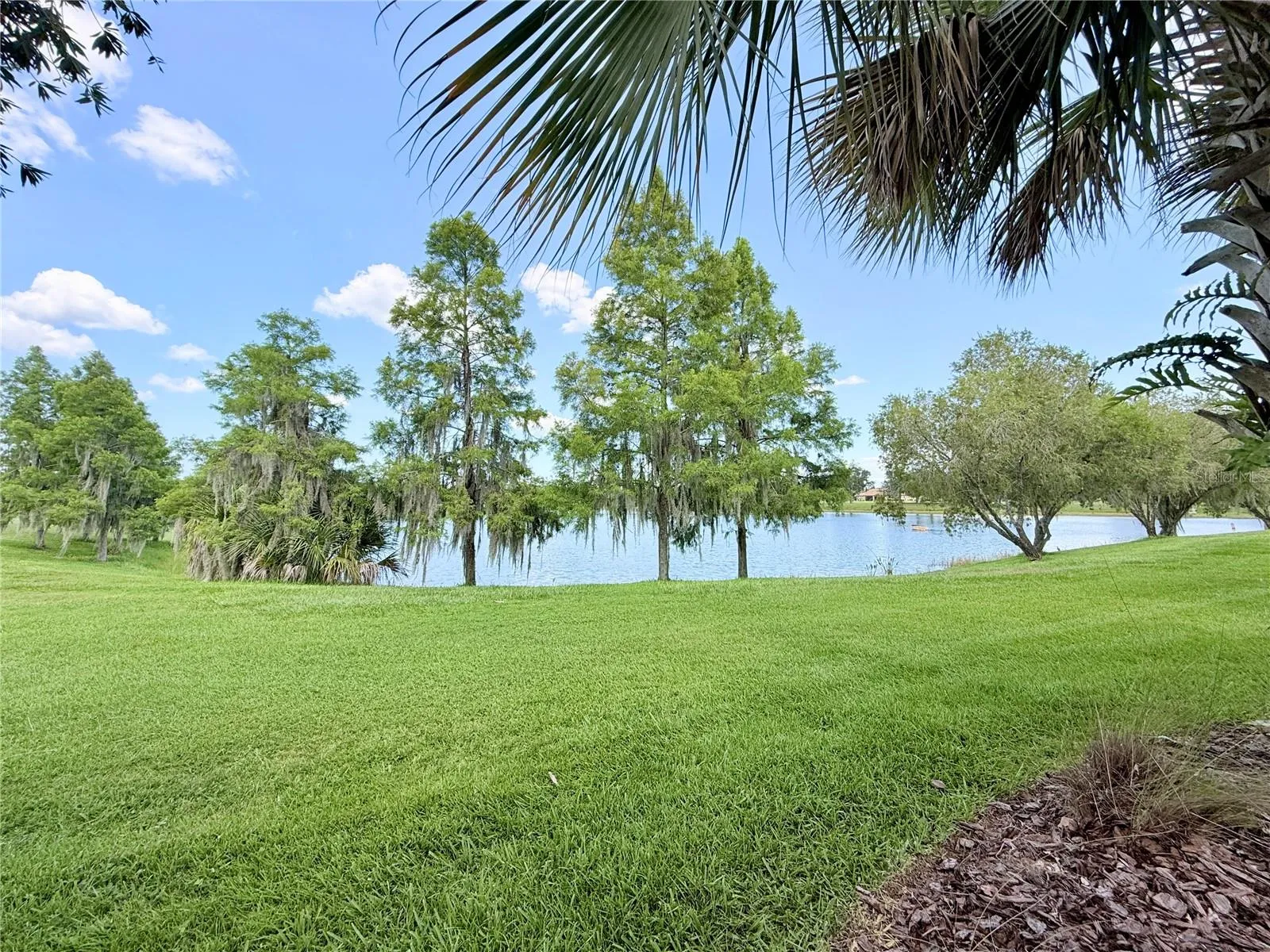 Views of Water
