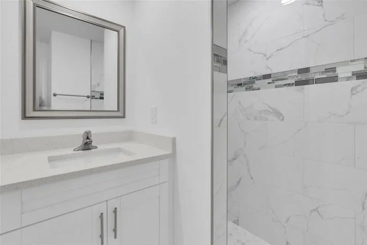 Master bath shower