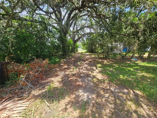 Rear 15' wide alley view