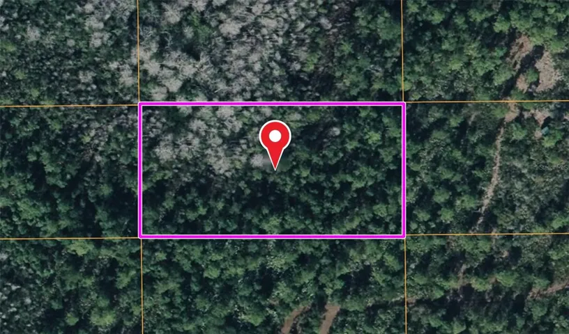 Satellite Image of parcel  Lines are approximate and not a survey.
