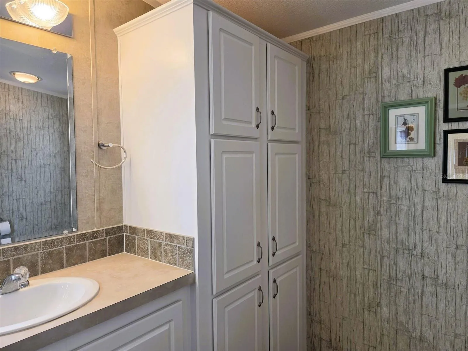 Storage in Primary Bath