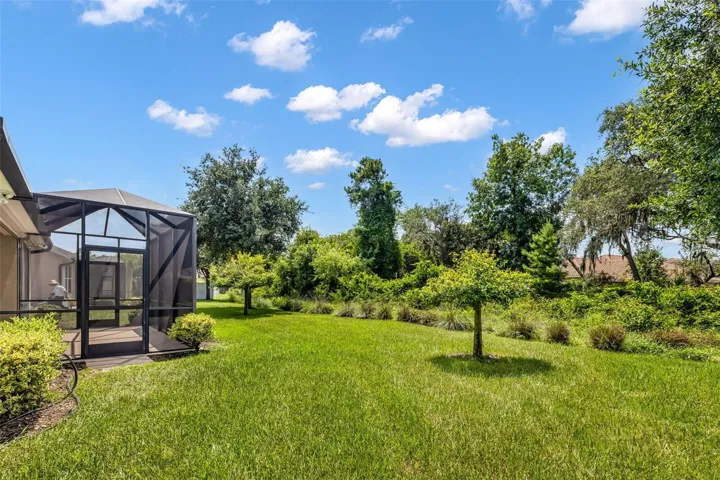 Huge Backyard!
