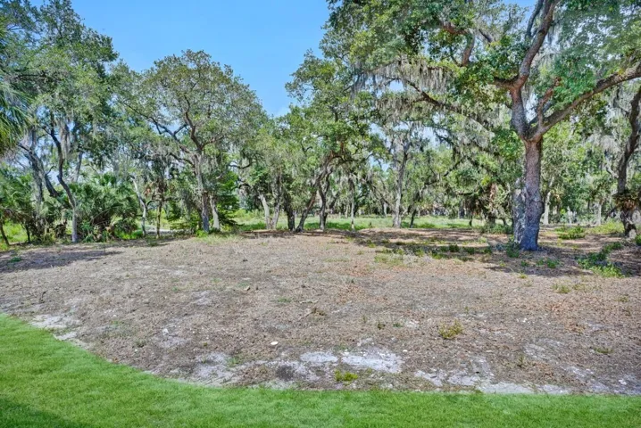 Backyard facing East