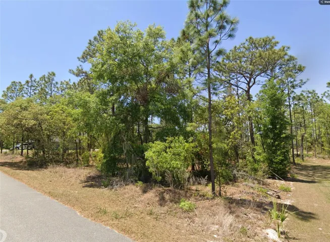 Lot 25 ¾-view