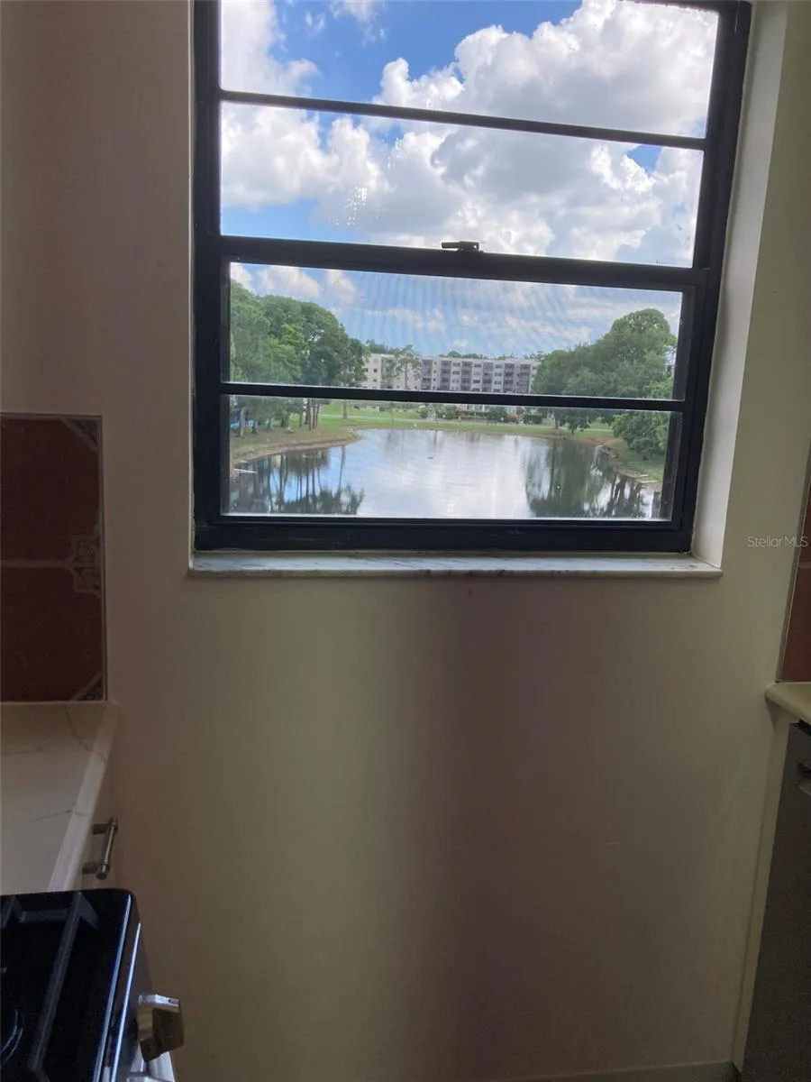 Kitchen window looks out over the pond