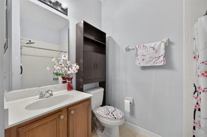 Hall bathroom