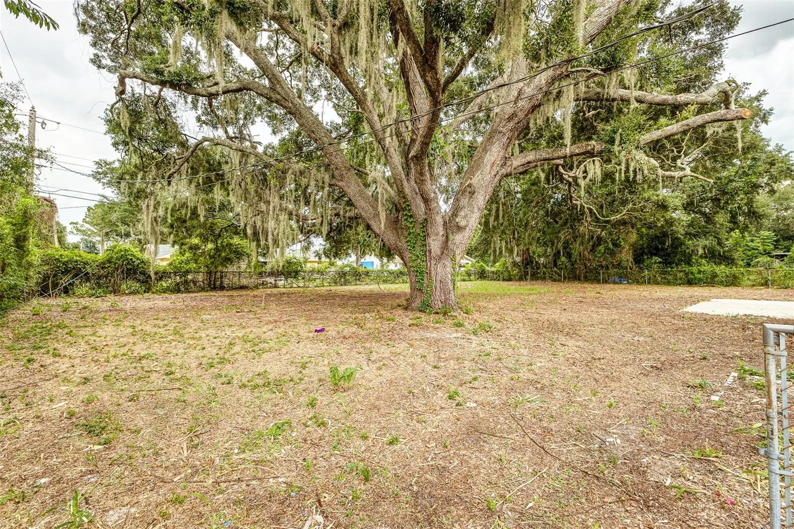 5421 Lake Luther Rd, Lakeland, Florida 33805 — photo 26