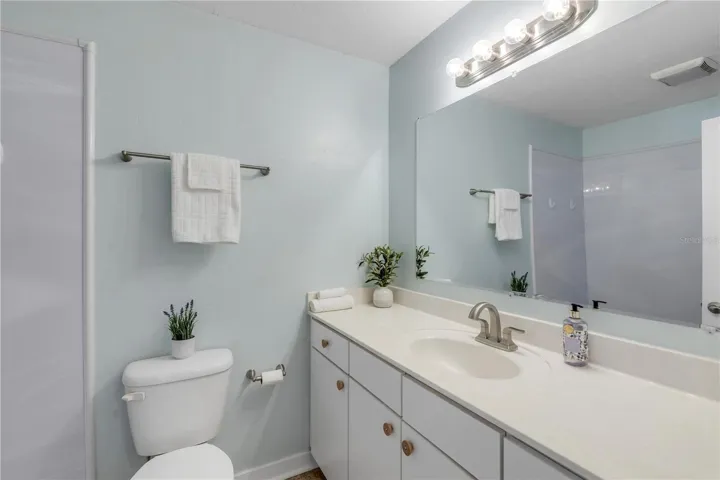 In-Law suite Bathroom