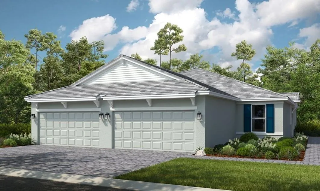 Ibis Rendering